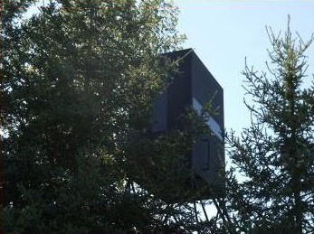 Alternate View
